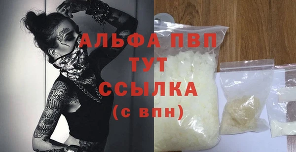 стафф Арсеньев