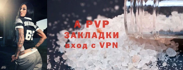 стафф Арсеньев