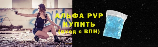 стафф Арсеньев