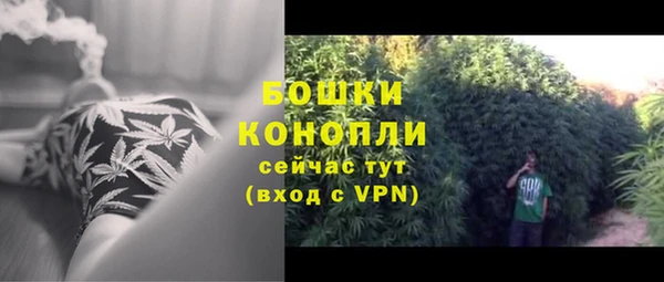 бошки Аркадак