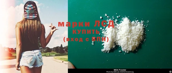 стафф Арсеньев