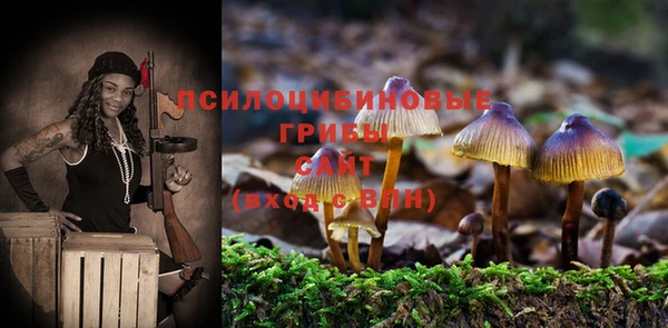 бошки Аркадак