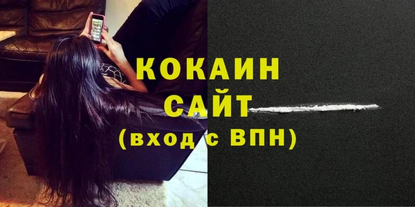стафф Арсеньев