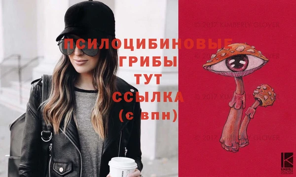 стафф Арсеньев