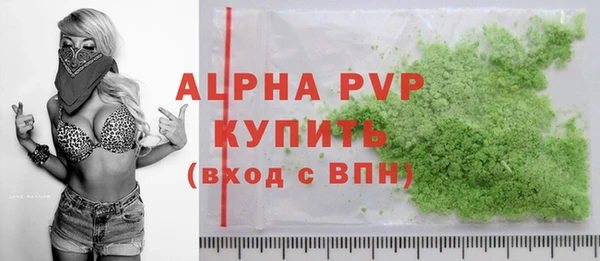 стафф Арсеньев